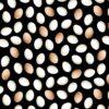 Chicken Eggs