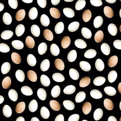 Chicken Eggs