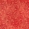 Fairy Frost - Cherry