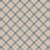 Paisley Pallette Plaid Blue