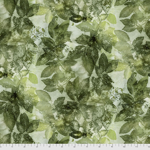 River Birch - Forest || Into the Woods