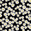 SWEET DAISIES BLACK