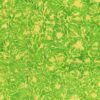 Delight Batik Parakeet Etching