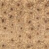 QE5 DELIGHT: 424Q-7 PEANUT