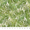 Tenderwood - Fern Toss