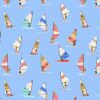 Stella Sun Of A Beach Aquarius Windsurfers