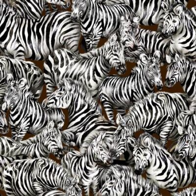 Jangala Digital - Zebras