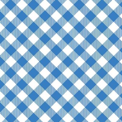 Blueberry Hill Gingham Blue White