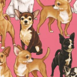 Pink-Chihuahua Pups