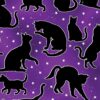 Glow in the Dark Spooktacular Cats Purple