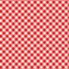 Timeless Treasurers - Vintage Diagnal Gingham