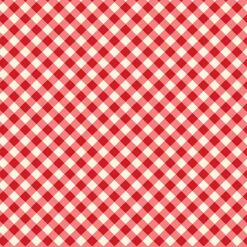 Timeless Treasurers - Vintage Diagnal Gingham