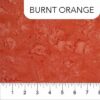 Blood Orange (Banyan Shadows)