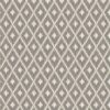 Autumn Ikat Taupe ( Hello Fall)