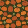 Rustic Pumpkins Dark Green ( Harvest Farm)