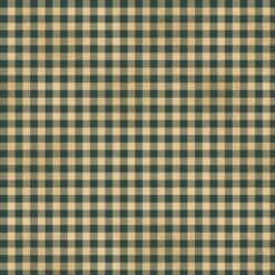 Wagon Wheel Plaid-Teal