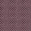 Plumberry-Purple