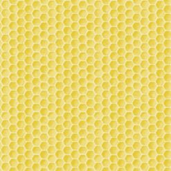 Fresh Picked Lemons-Honeycomb