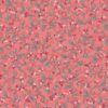 Snowdrop-Coral