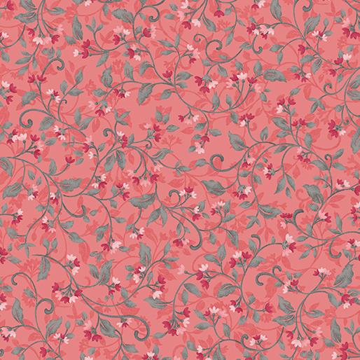 Snowdrop-Coral