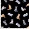 Crafty Cats