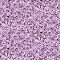 Lilac Florals