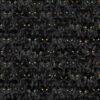 Wicked Black Cats Magic