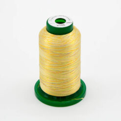 Medley Variegated Embroidery Thread- Citrus 1000 Meters