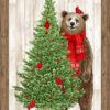 Beary Merry Christmas 24" Panel-White Multi