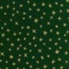 Stargazer with Metallic - Emerald Green