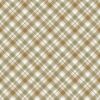 Wildwood Diagnol Plaid - Olive