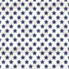 Set Stars - Farmhouse Americana Fame
