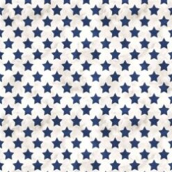 Set Stars - Farmhouse Americana Fame