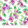 Concerto Trailing Fuchsia White Multi