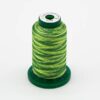 Medley Variegated Embroidery Thread - Forest