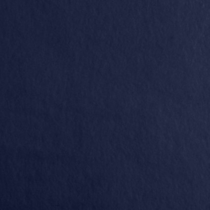 Anti Pill Fleece Solid - Navy