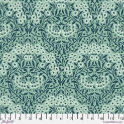 Michaelmas Daisy - Mint - Free Spirit
