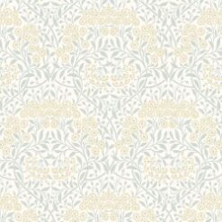 Michaelmas Daisy - Ivory - Free Spirit