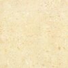 Wilmington Prints Essentials Dark Ivory Spatter