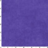 Shadow Play - Royal Purple