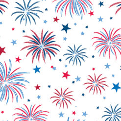 Patriotic Fireworks - White - Celebrate the USA