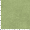 Shadow Play - Thyme
