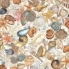 Nauticus - Cream - Shells