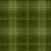 Snowtop Mountain Green Big Plaid Flannel