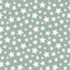 Snowtop Mountain Aqua Star Flannel