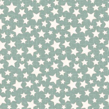 Snowtop Mountain Aqua Star Flannel